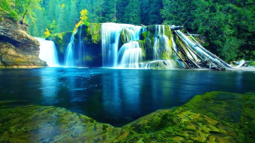 高质量全自动信息化